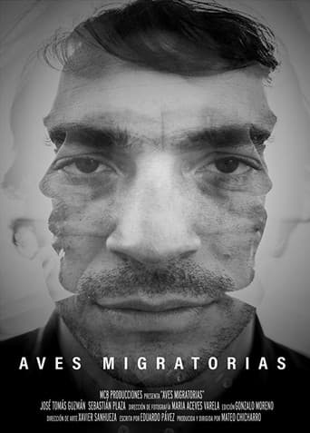Aves migratorias