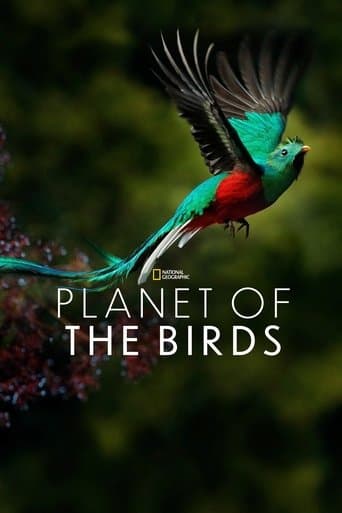 鳥の惑星
