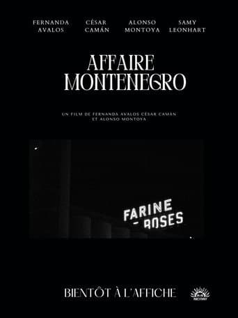 Affaire Montenegro