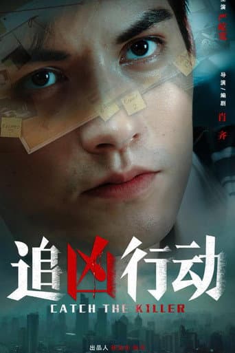 追凶行动