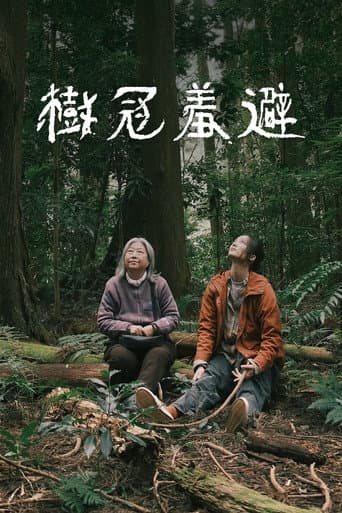 木々の隙間