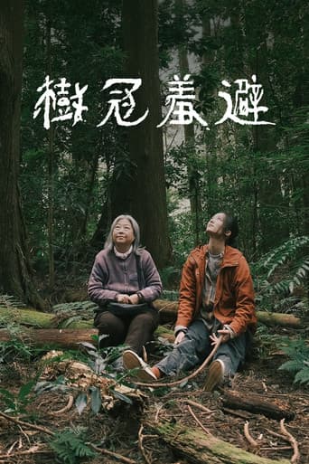 木々の隙間