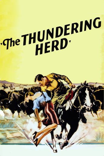 Buffalo Stampede