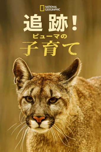 追跡！ピューマの子育て