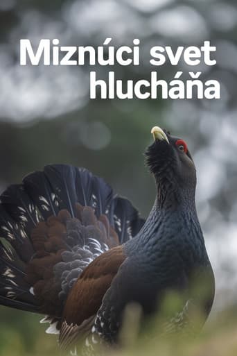 Miznúci svet hlucháňa
