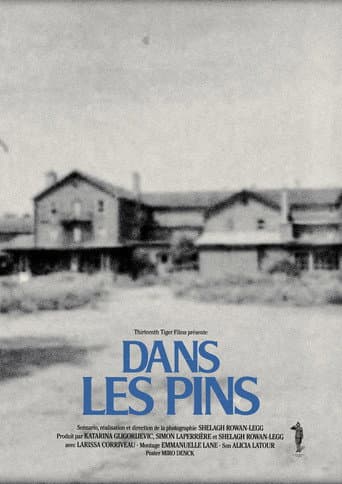 Dans les pins