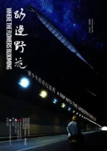 路边野花