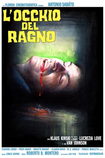 L'occhio del ragno