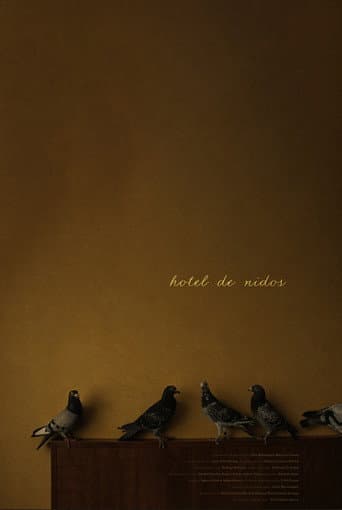 Hotel de nidos