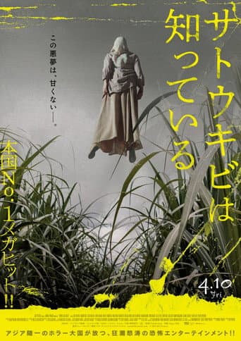 サトウキビは知っている