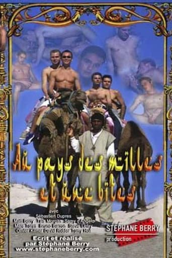 Au pays des mille et une bites